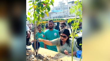 সোনারগাঁয়ে ইউএনও’র ছোঁয়ায় ময়লা ভাগাড় হয়ে গেল ফুলের বাগান